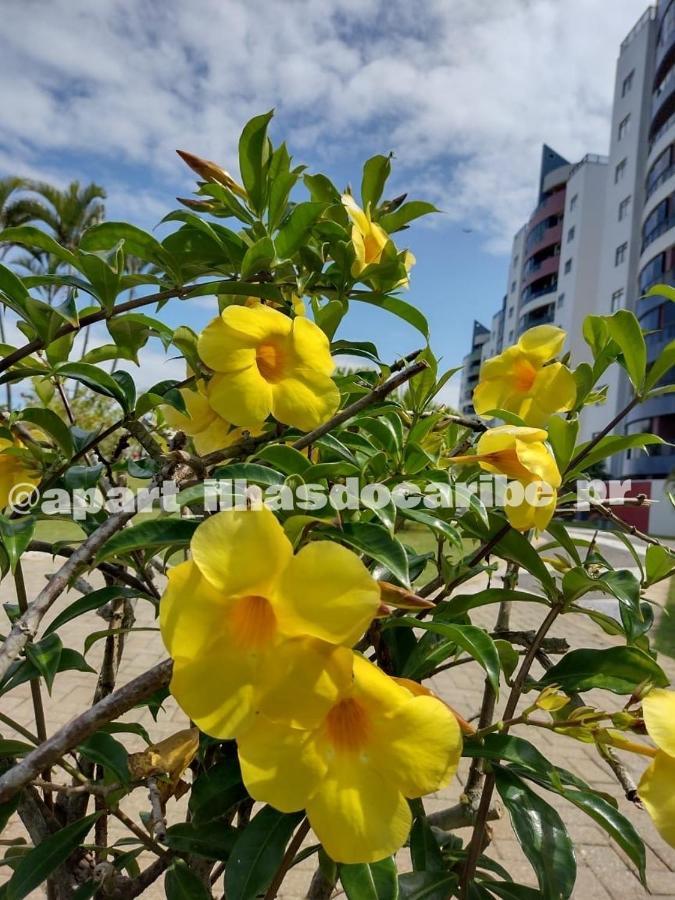 Apto Cond Ilhas Do Caribe - Pr - Beira Mar Matinhos Esterno foto